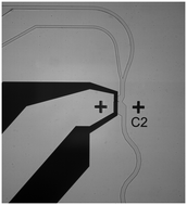 Graphical abstract: Cell sorting actuated by a microfluidic inertial vortex