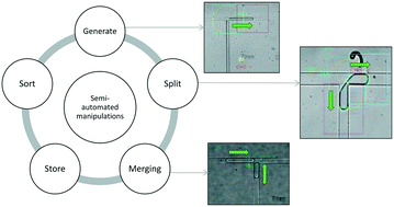 Graphical abstract: Semi-automated on-demand control of individual droplets with a sample application to a drug screening assay