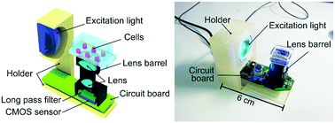 Graphical abstract: Portable biohybrid odorant sensors using cell-laden collagen micropillars
