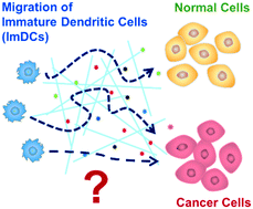 Graphical abstract: Immature dendritic cells navigate microscopic mazes to find tumor cells