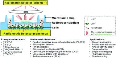 Graphical abstract: Microfluidic radiobioassays: a radiometric detection tool for understanding cellular physiology and pharmacokinetics