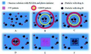 Graphical abstract: Generating digital drug cocktails via optical manipulation of drug-containing particles and photo-patterning of hydrogels
