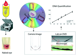 Graphical abstract: Microfluidic centrifugation assisted precipitation based DNA quantification