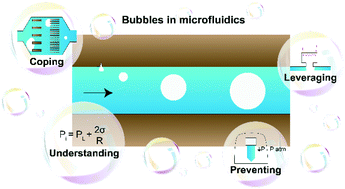 Graphical abstract: Nip the bubble in the bud: a guide to avoid gas nucleation in microfluidics