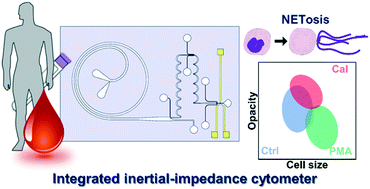 Graphical abstract: Integrated inertial-impedance cytometry for rapid label-free leukocyte isolation and profiling of neutrophil extracellular traps (NETs)