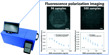Graphical abstract: High-throughput fluorescence polarization immunoassay by using a portable fluorescence polarization imaging analyzer