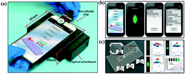 Graphical abstract: Smartphone-app based point-of-care testing for myocardial infarction biomarker cTnI using an autonomous capillary microfluidic chip with self-aligned on-chip focusing (SOF) lenses