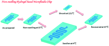 Graphical abstract: Non-swelling hydrogel-based microfluidic chips