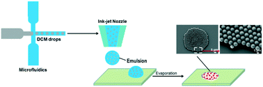 Graphical abstract: Fabrication of monolayers of uniform polymeric particles by inkjet printing of monodisperse emulsions produced by microfluidics