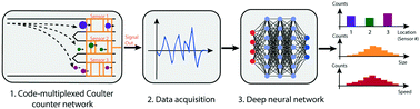 Graphical abstract: Processing code-multiplexed Coulter signals via deep convolutional neural networks