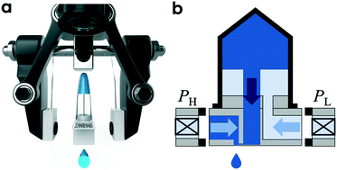 Graphical abstract: Microfluidic cap-to-dispense (μCD): a universal microfluidic–robotic interface for automated pipette-free high-precision liquid handling