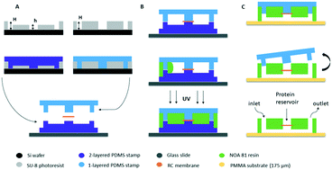 Graphical abstract: A microfluidic device for both on-chip dialysis protein crystallization and in situ X-ray diffraction