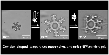 Graphical abstract: Soft temperature-responsive microgels of complex shape in stop-flow lithography