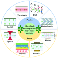 Graphical abstract: Focusing of sub-micrometer particles in microfluidic devices