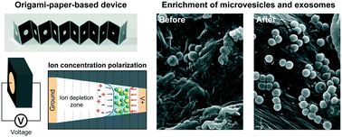 Graphical abstract: Origami-paper-based device for microvesicle/exosome preconcentration and isolation