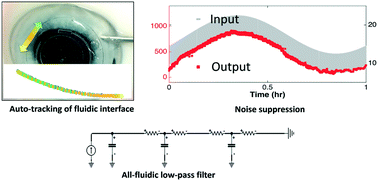 Graphical abstract: Flow stabilization in wearable microfluidic sensors enables noise suppression