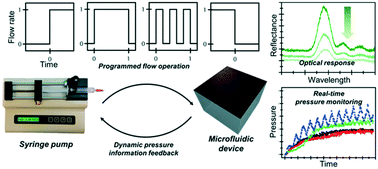 Graphical abstract: Real-time pressure monitoring system for microfluidic devices using deformable colloidal crystal membrane
