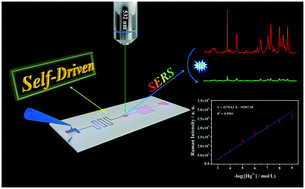 Graphical abstract: A self-driven microfluidic surface-enhanced Raman scattering device for Hg2+ detection fabricated by femtosecond laser
