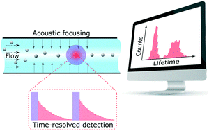 Graphical abstract: Time-resolved microfluidic flow cytometer for decoding luminescence lifetimes in the microsecond region