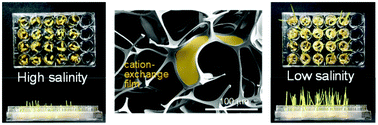Graphical abstract: Hierarchical micro/nanoporous ion-exchangeable sponge