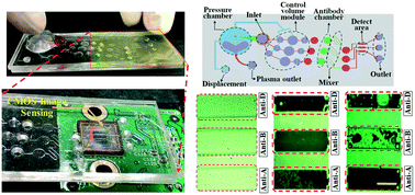 Graphical abstract: Finger-powered agglutination lab chip with CMOS image sensing for rapid point-of-care diagnosis applications