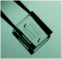 Graphical abstract: Digital microfluidic meter-on-chip