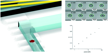 Graphical abstract: Acoustic erythrocytometer for mechanically probing cell viscoelasticity