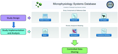 Graphical abstract: Applications of the microphysiology systems database for experimental ADME-Tox and disease models