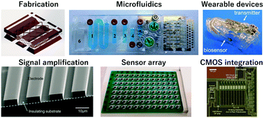 Graphical abstract: Microfabricated electrochemical sensing devices