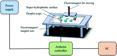Graphical abstract: A structure-free digital microfluidic platform for detection of influenza a virus by using magnetic beads and electromagnetic forces