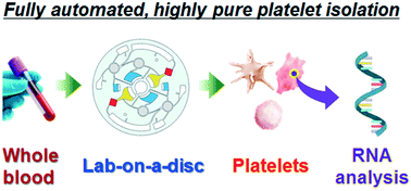 Graphical abstract: Fully automated platelet isolation on a centrifugal microfluidic device for molecular diagnostics