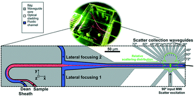 Graphical abstract: Monolithically-integrated cytometer for measuring particle diameter in the extracellular vesicle size range using multi-angle scattering