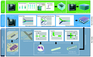 Graphical abstract: The emerging role of microfluidics in multi-material 3D bioprinting