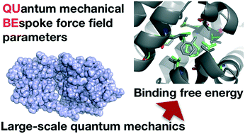 Graphical abstract: Computation of protein–ligand binding free energies using quantum mechanical bespoke force fields