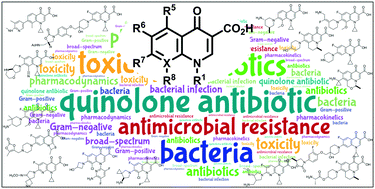 Graphical abstract: Quinolone antibiotics
