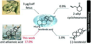 Graphical abstract: Stereoselective semi-synthesis of the neuroprotective natural product, serofendic acid