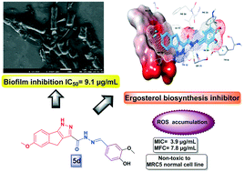 Graphical abstract: Design, synthesis, and antimicrobial evaluation of 1,4-dihydroindeno[1,2-c]pyrazole tethered carbohydrazide hybrids: exploring their in silico ADMET, ergosterol inhibition and ROS inducing potential