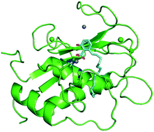 Graphical abstract: Recent insights into natural product inhibitors of matrix metalloproteinases