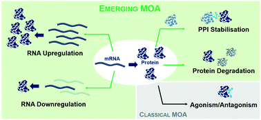 Graphical abstract: Emerging modes-of-action in drug discovery