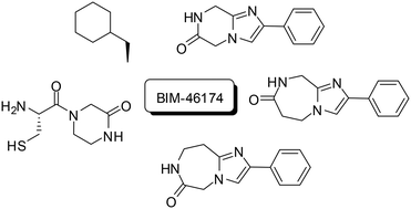 Graphical abstract: BIM-46174 fragments as potential ligands of G proteins