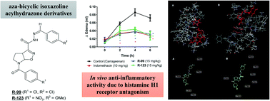 Graphical abstract: Evaluation of anti-inflammatory activity and molecular docking study of new aza-bicyclic isoxazoline acylhydrazone derivatives