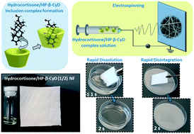 Graphical abstract: Hydrocortisone/cyclodextrin complex electrospun nanofibers for a fast-dissolving oral drug delivery system