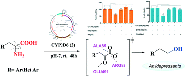 Graphical abstract: Conversion of amino acids to aryl/heteroaryl ethanol metabolites using human CYP2D6-expressing live baker's yeast