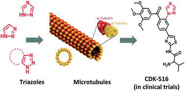 Graphical abstract: Application of triazoles as bioisosteres and linkers in the development of microtubule targeting agents