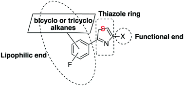 Graphical abstract: Synthesis and evaluation of novel 2,4-disubstituted arylthiazoles against T. brucei