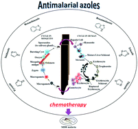 Graphical abstract: An epigrammatic status of the ‘azole’-based antimalarial drugs