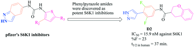 Graphical abstract: Computer-aided discovery of phenylpyrazole based amides as potent S6K1 inhibitors