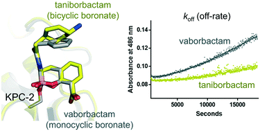 Graphical abstract: Cyclic boronates as versatile scaffolds for KPC-2 β-lactamase inhibition