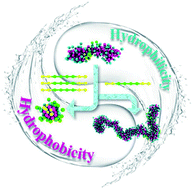 Graphical abstract: The biphasic effect of ABA triblock copolymers on the self-assembly of surfactants: insight from dissipative particle dynamics