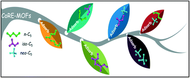 Graphical abstract: Identifying the best metal–organic frameworks and unravelling different mechanisms for the separation of pentane isomers